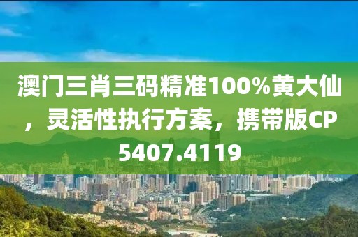 澳门三肖三码精准100%黄大仙，灵活性执行方案，携带版CP5407.4119