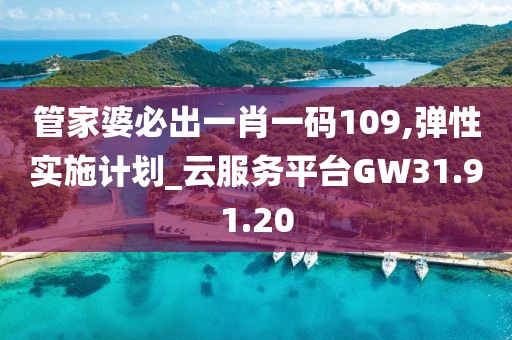 管家婆必出一肖一码109,弹性实施计划_云服务平台GW31.91.20