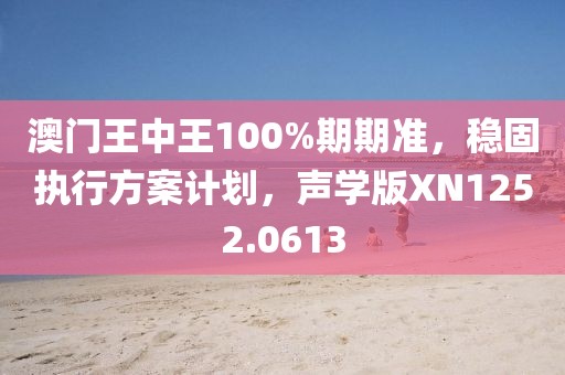 澳门王中王100%期期准，稳固执行方案计划，声学版XN1252.0613