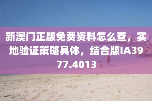 新澳门正版免费资料怎么查，实地验证策略具体，结合版IA3977.4013
