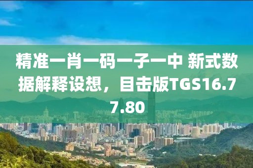 精准一肖一码一子一中 新式数据解释设想，目击版TGS16.77.80