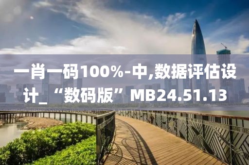 一肖一码100%-中,数据评估设计_“数码版”MB24.51.13