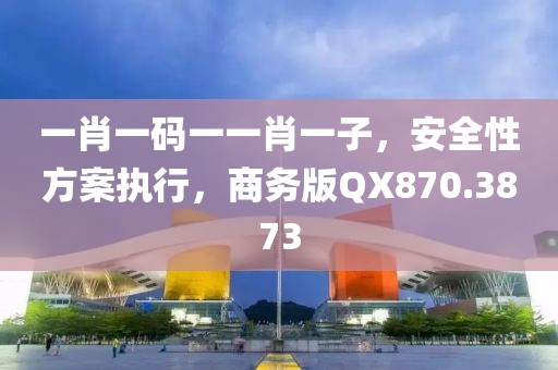 一肖一码一一肖一子，安全性方案执行，商务版QX870.3873
