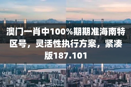 澳门一肖中100%期期准海南特区号，灵活性执行方案，紧凑版187.101