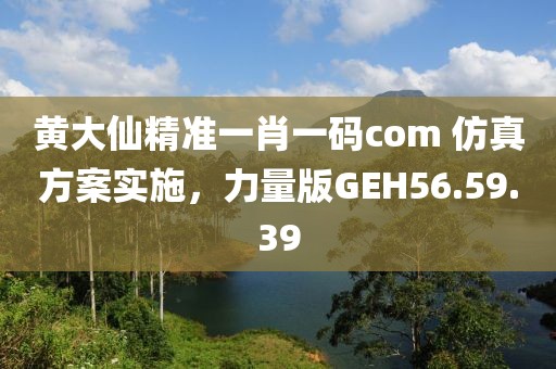 黄大仙精准一肖一码com 仿真方案实施，力量版GEH56.59.39
