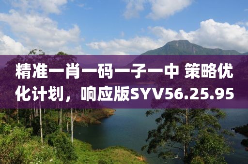 精准一肖一码一子一中 策略优化计划，响应版SYV56.25.95