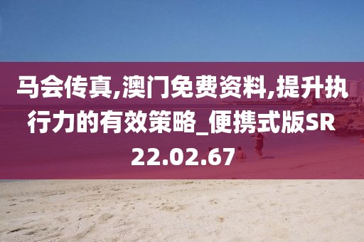 马会传真,澳门免费资料,提升执行力的有效策略_便携式版SR22.02.67