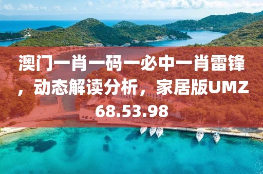 澳门一肖一码一必中一肖雷锋，动态解读分析，家居版UMZ68.53.98