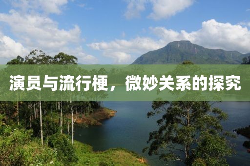 演员与流行梗，微妙关系的探究