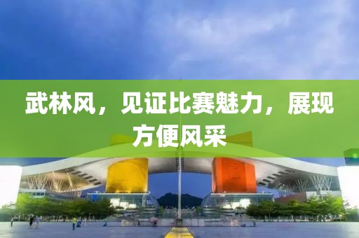 武林风，见证比赛魅力，展现方便风采