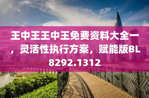 王中王王中王免费资料大全一，灵活性执行方案，赋能版BL8292.1312