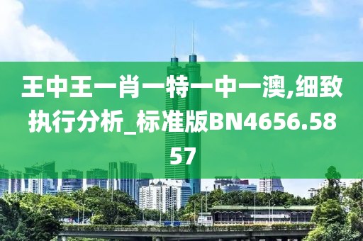 王中王一肖一特一中一澳,细致执行分析_标准版BN4656.5857