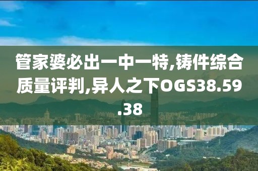 管家婆必出一中一特,铸件综合质量评判,异人之下OGS38.59.38