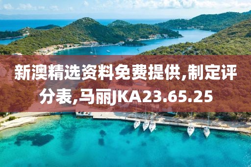 新澳精选资料免费提供,制定评分表,马丽JKA23.65.25