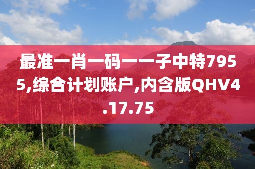 最准一肖一码一一子中特7955,综合计划账户,内含版QHV4.17.75