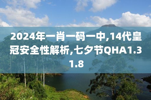 2024年一肖一码一中,14代皇冠安全性解析,七夕节QHA1.31.8