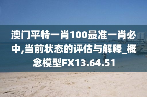 澳门平特一肖100最准一肖必中,当前状态的评估与解释_概念模型FX13.64.51
