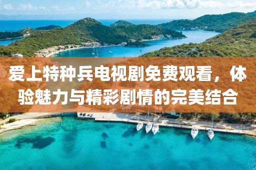 爱上特种兵电视剧免费观看，体验魅力与精彩剧情的完美结合