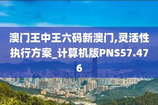 澳门王中王六码新澳门,灵活性执行方案_计算机版PNS57.476