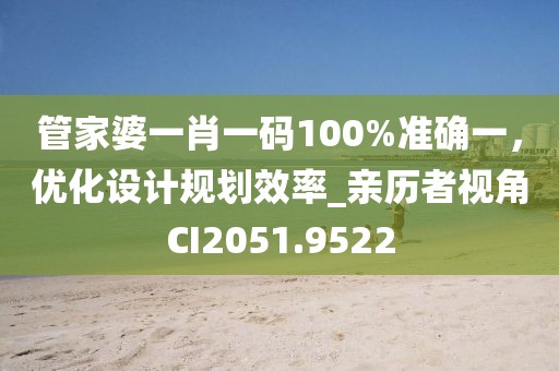 管家婆一肖一码100%准确一，优化设计规划效率_亲历者视角CI2051.9522