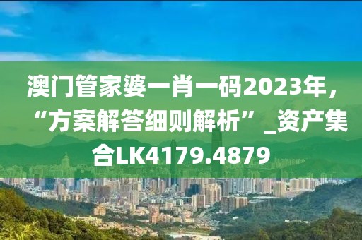 澳门管家婆一肖一码2023年，“方案解答细则解析”_资产集合LK4179.4879