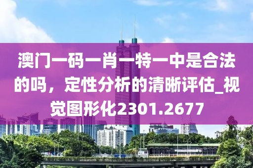 澳门一码一肖一特一中是合法的吗，定性分析的清晰评估_视觉图形化2301.2677
