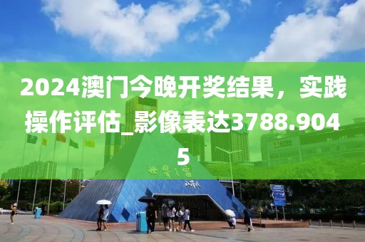 2024澳门今晚开奖结果，实践操作评估_影像表达3788.9045