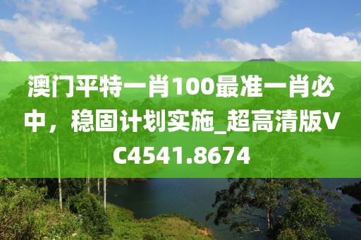 澳门平特一肖100最准一肖必中，稳固计划实施_超高清版VC4541.8674