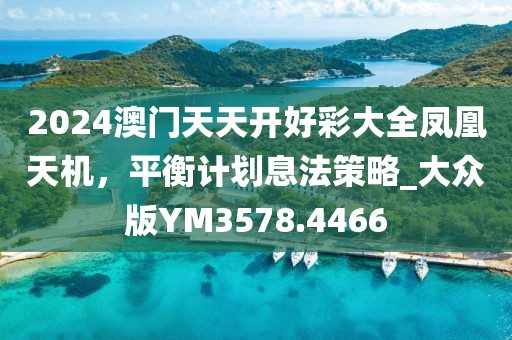 2024澳门天天开好彩大全凤凰天机，平衡计划息法策略_大众版YM3578.4466