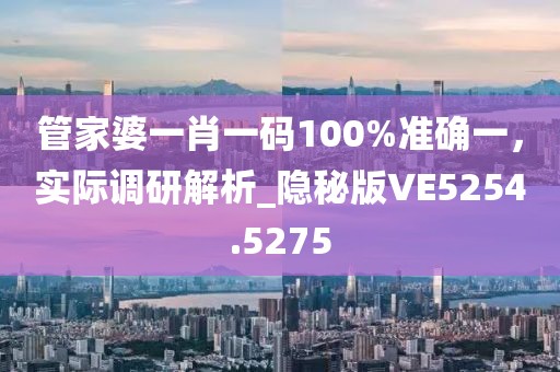 管家婆一肖一码100%准确一，实际调研解析_隐秘版VE5254.5275