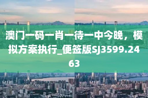 澳门一码一肖一待一中今晚，模拟方案执行_便签版SJ3599.2463