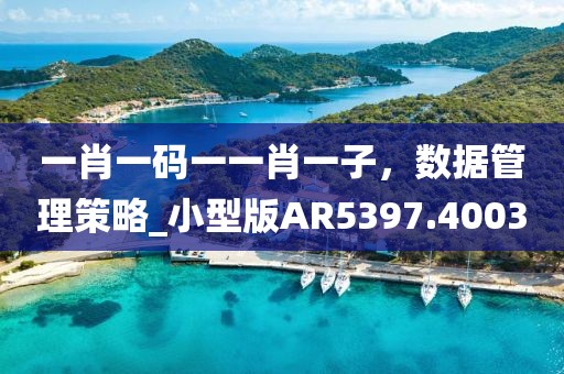 一肖一码一一肖一子，数据管理策略_小型版AR5397.4003