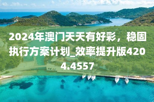 2024年澳门天天有好彩，稳固执行方案计划_效率提升版4204.4557