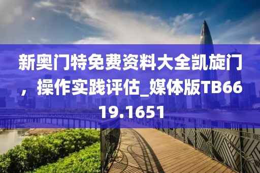 新奥门特免费资料大全凯旋门，操作实践评估_媒体版TB6619.1651
