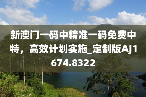 新澳门一码中精准一码免费中特，高效计划实施_定制版AJ1674.8322