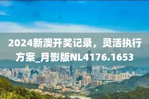 2024新澳开奖记录，灵活执行方案_月影版NL4176.1653