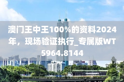 澳门王中王100%的资料2024年，现场验证执行_专属版WT5964.8144