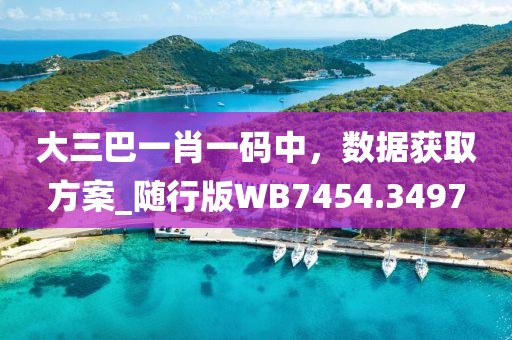 大三巴一肖一码中，数据获取方案_随行版WB7454.3497