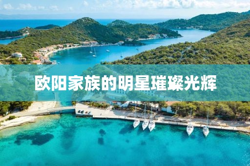 欧阳家族的明星璀璨光辉