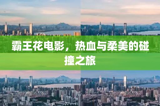 霸王花电影，热血与柔美的碰撞之旅