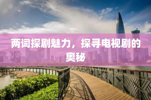 两词探剧魅力，探寻电视剧的奥秘