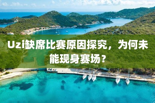 Uzi缺席比赛原因探究，为何未能现身赛场？
