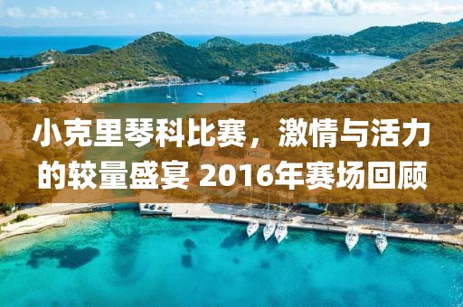 小克里琴科比赛，激情与活力的较量盛宴 2016年赛场回顾