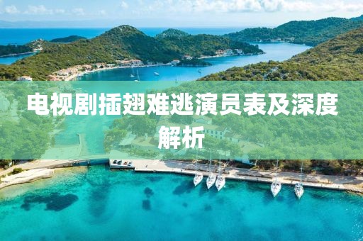 电视剧插翅难逃演员表及深度解析