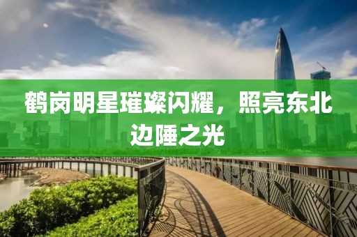 鹤岗明星璀璨闪耀，照亮东北边陲之光