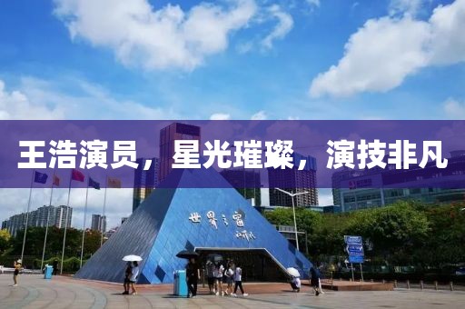 王浩演员，星光璀璨，演技非凡