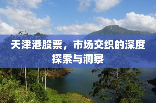 天津港股票，市场交织的深度探索与洞察