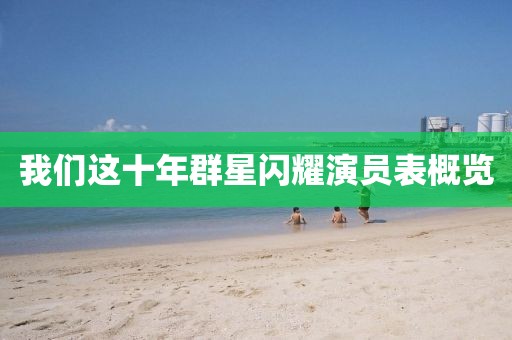 我们这十年群星闪耀演员表概览