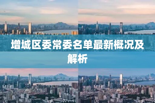 增城区委常委名单最新概况及解析