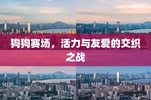 狗狗赛场，活力与友爱的交织之战